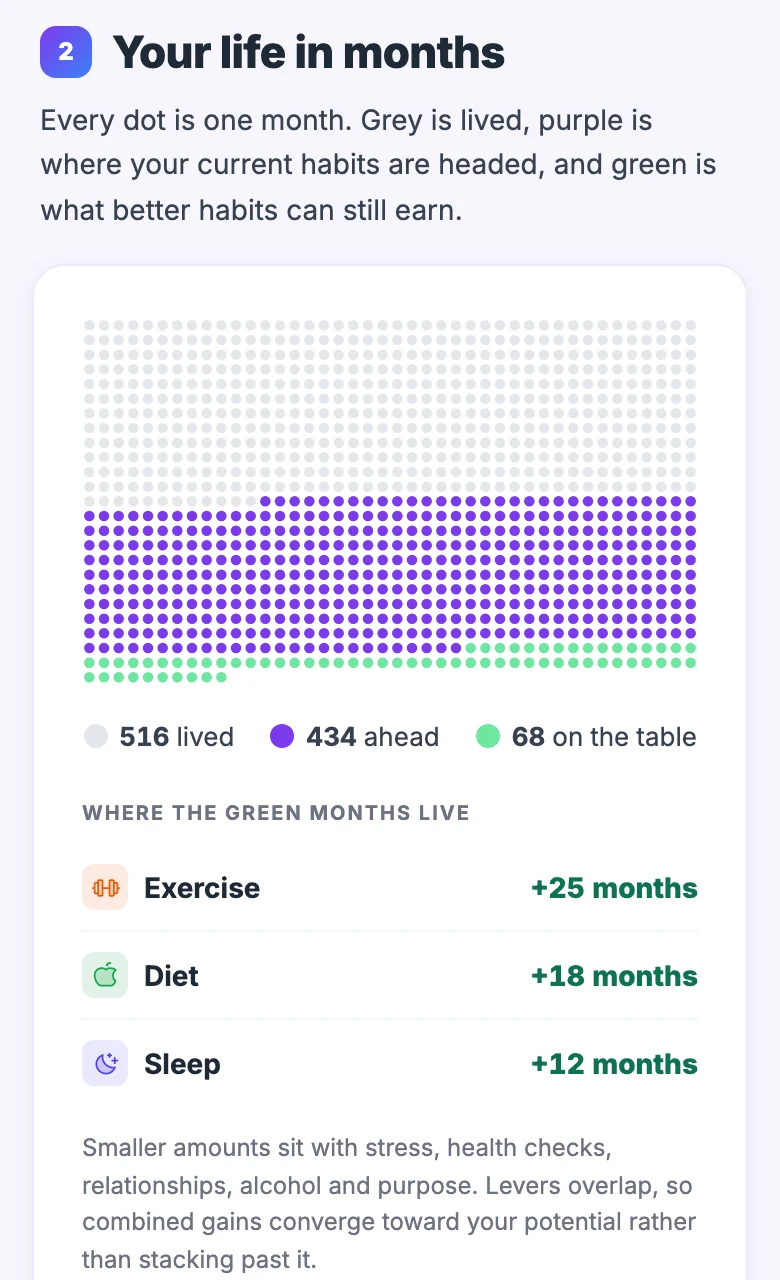 A piece of the example report. Your life in months, drawn as dots, with the months each lever could add.